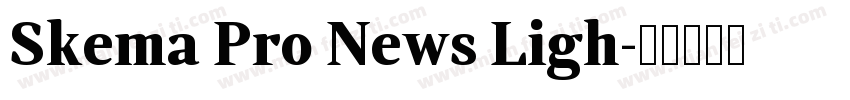 Skema Pro News Ligh字体转换
